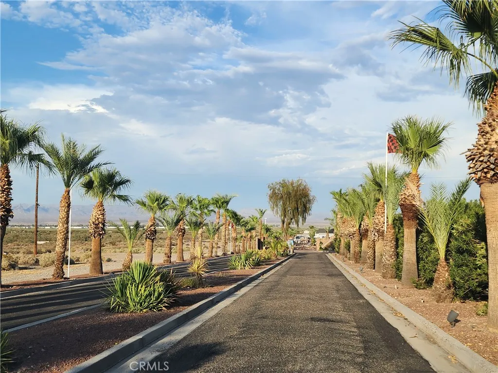 The Palms Next Door