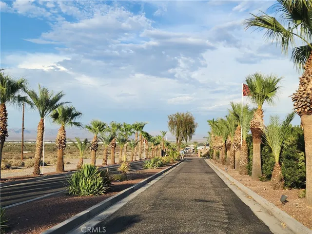 The Palms Next Door
