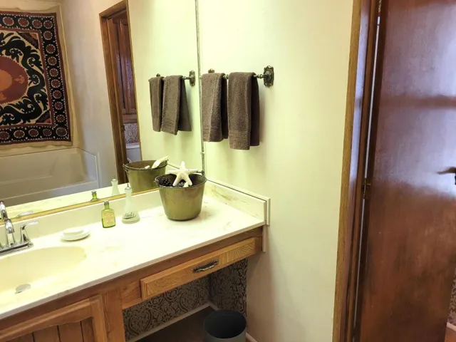Primary Bath Vanity