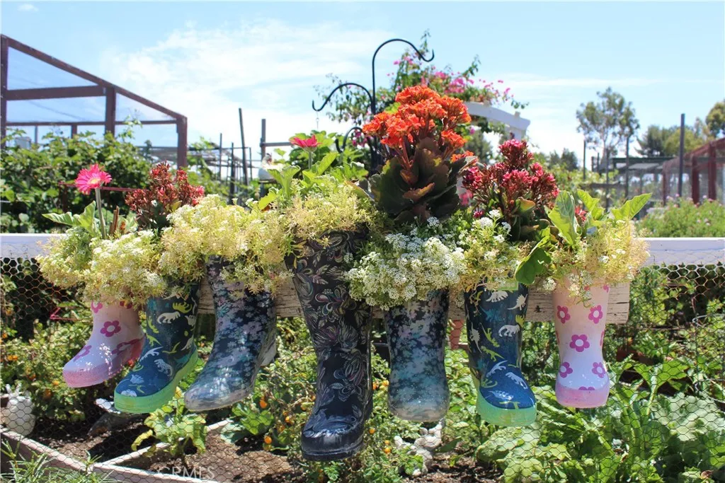 Rent a Garden Plot.