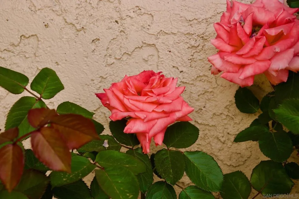 32137 Cerrada Del Coyote, Warner Springs, California 92086 home-pic-35