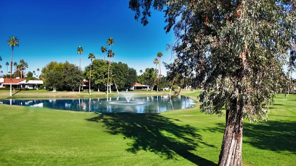 73 Marbella Drive, Rancho Mirage, California 92270 home-pic-0