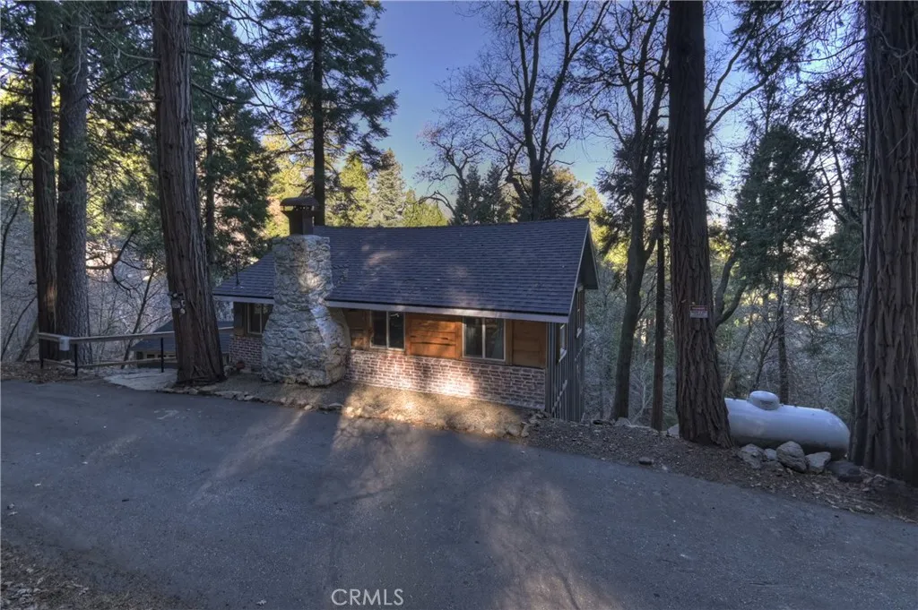 687 Spring, Cedarpines Park, California 92322 home-pic-29
