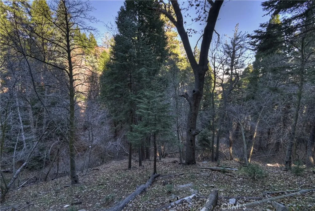 687 Spring, Cedarpines Park, California 92322 home-pic-31