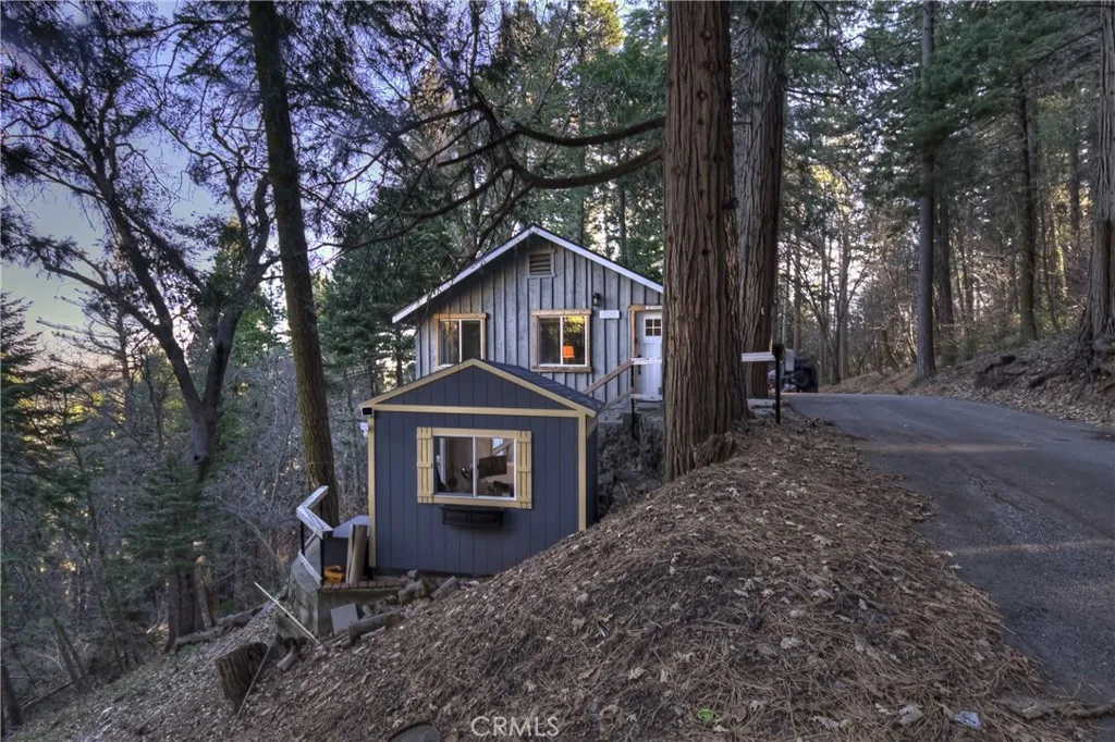 687 Spring, Cedarpines Park, California 92322 home-pic-26