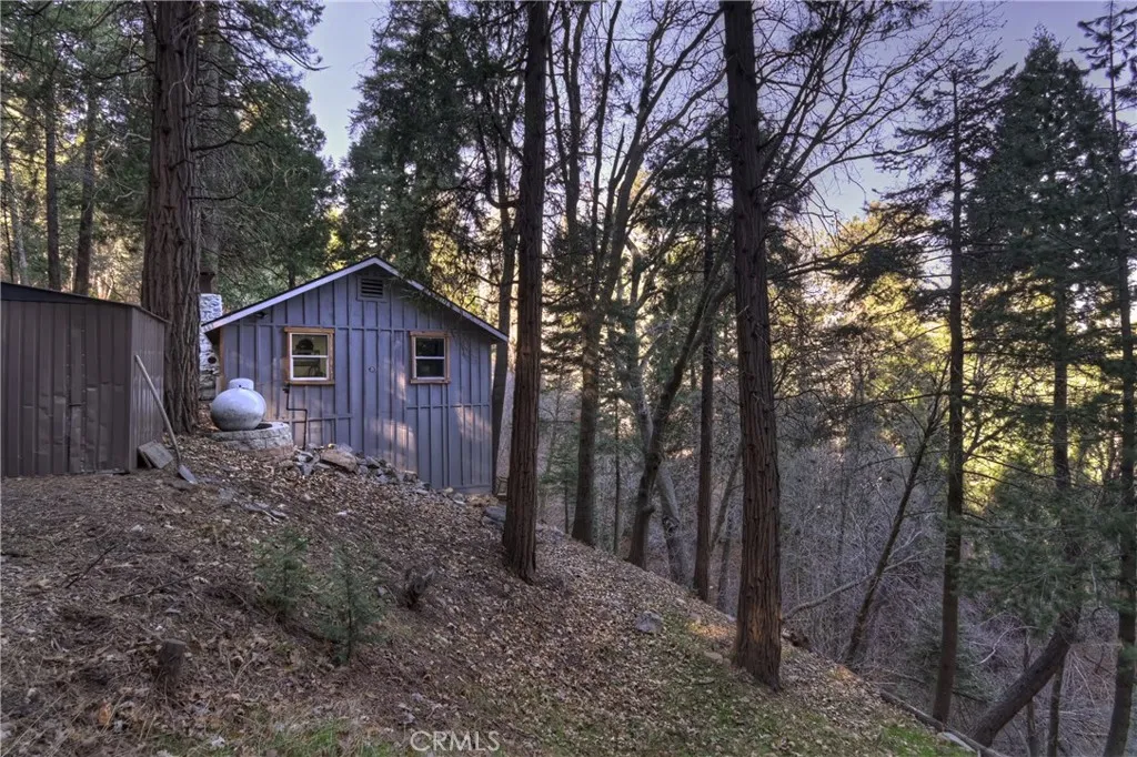 687 Spring, Cedarpines Park, California 92322 home-pic-25