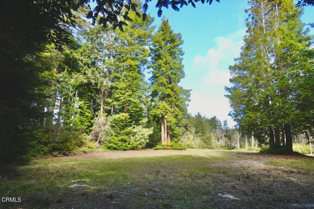 More of the cleared area