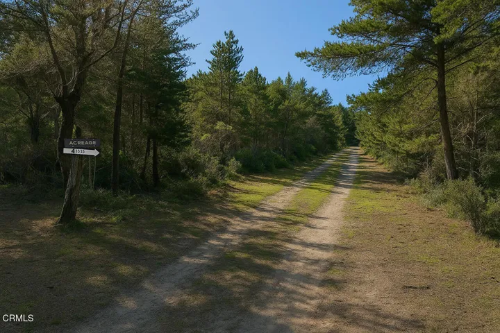 Driveway to property