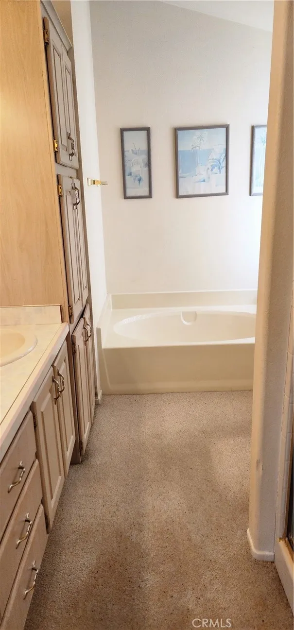Master bathroom soaking tub