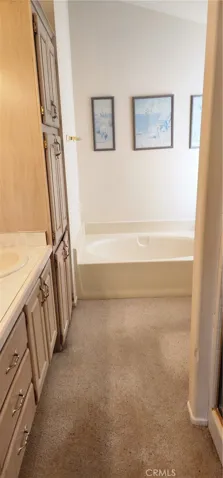 Master bathroom soaking tub