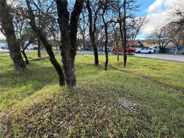 Many trees for shade and privacy.