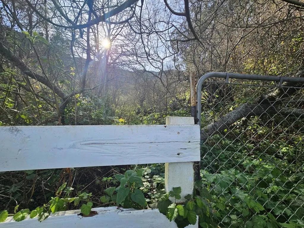 0 Balboa, Pacifica, California 94044 — photo 5