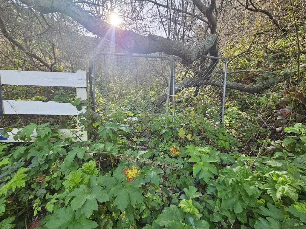 0 Balboa, Pacifica, California 94044 — photo 4