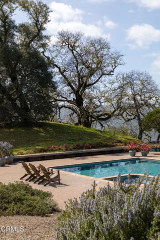 pool 17350 Deer Meadows 12 small