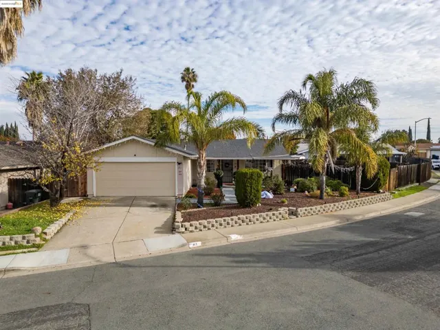 Ranch-style house featuring concrete driveway and an attached garage