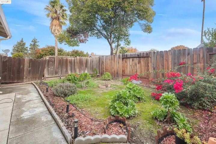View of fenced backyard