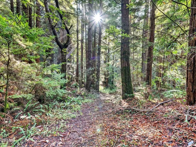 62-web-or-mls-DSC06381