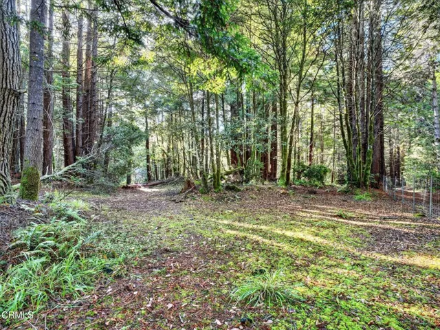 47-web-or-mls-DSC06306