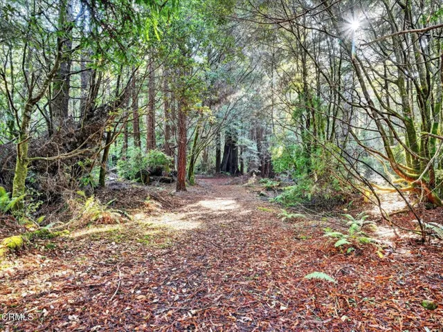 48-web-or-mls-DSC06312