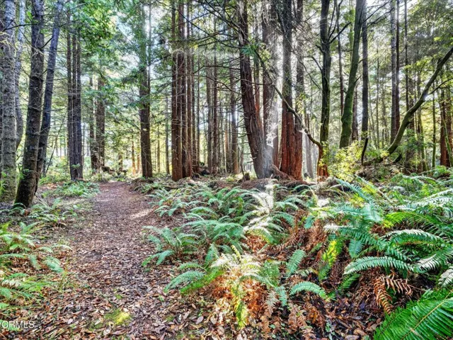 58-web-or-mls-DSC06361