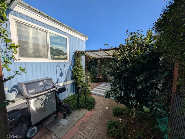 Backyard Patio
