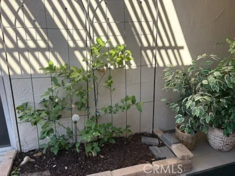 front patio