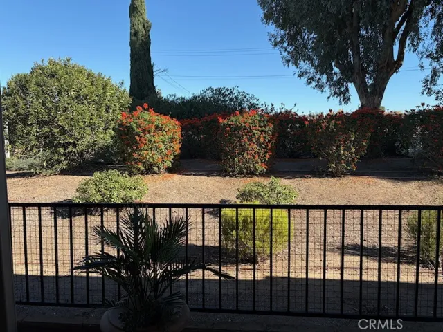 patio view