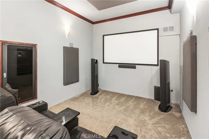 Amazing theater Room with soundproofed walls and tiered flooring.