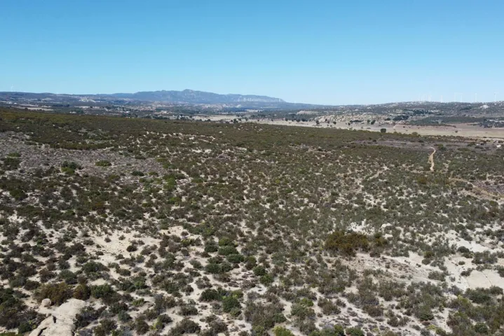 Aerial 2