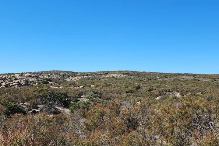 Ground view 1
