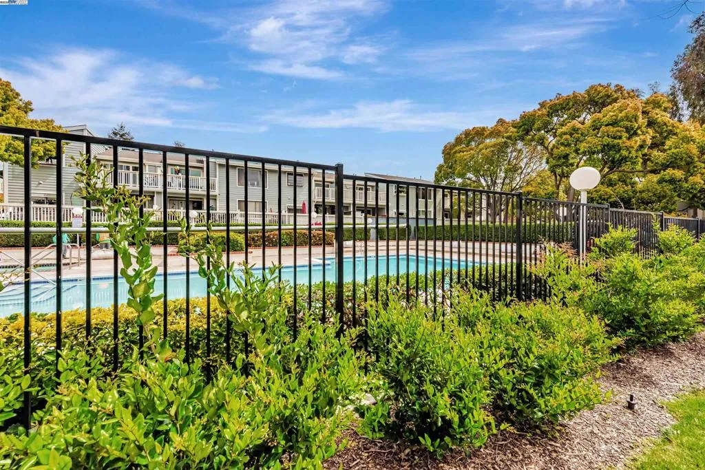 3507 Buttonwood Ter 203, Fremont, California 94536 home-pic-32