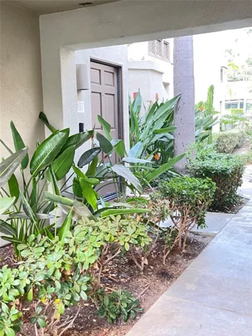 ENTRY WAY