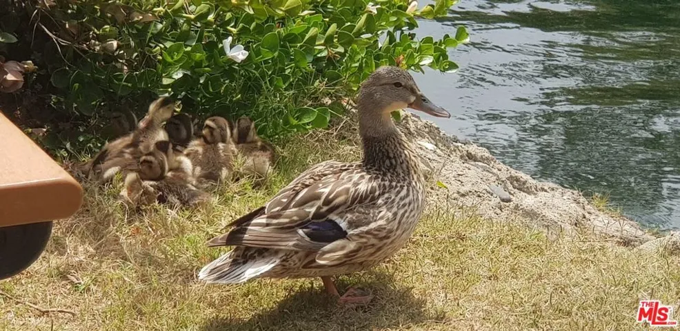 Looking down from the Balcony.