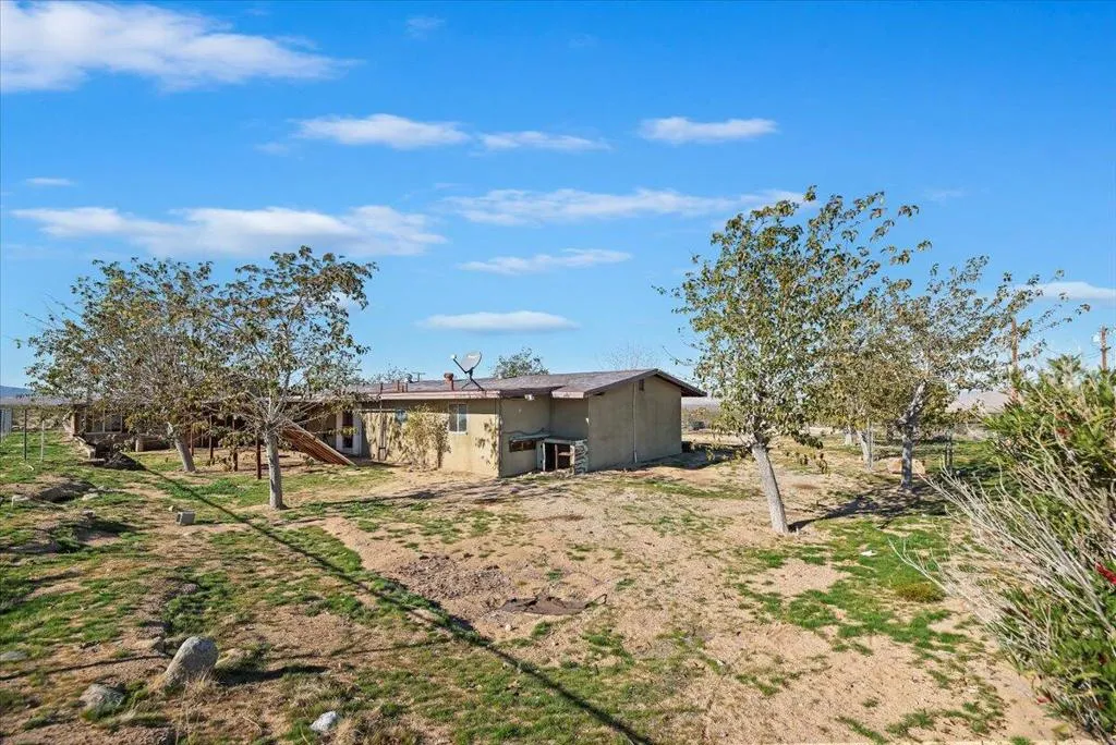 24-Backyard