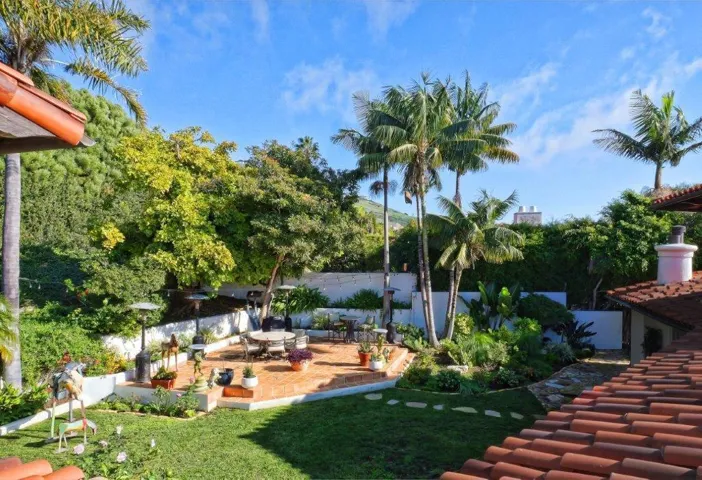 SEacliff 51