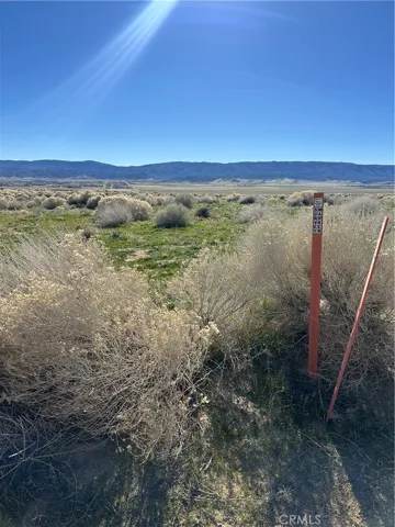 Survey Marker