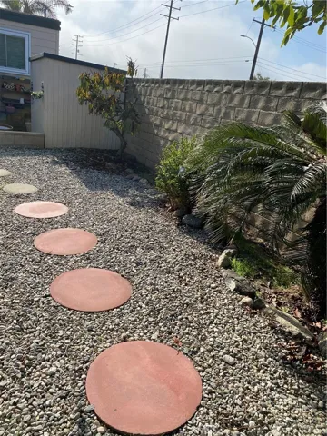 Backyard w/Fruit Trees