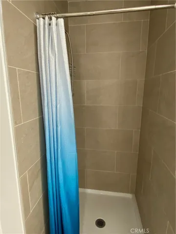 Hall Bathroom Shower