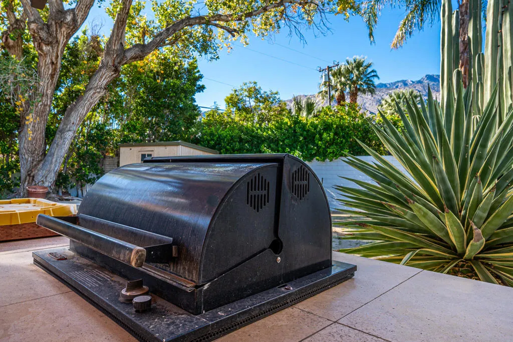 1065 E San Jacinto Way, Palm Springs, California 92262 home-pic-33