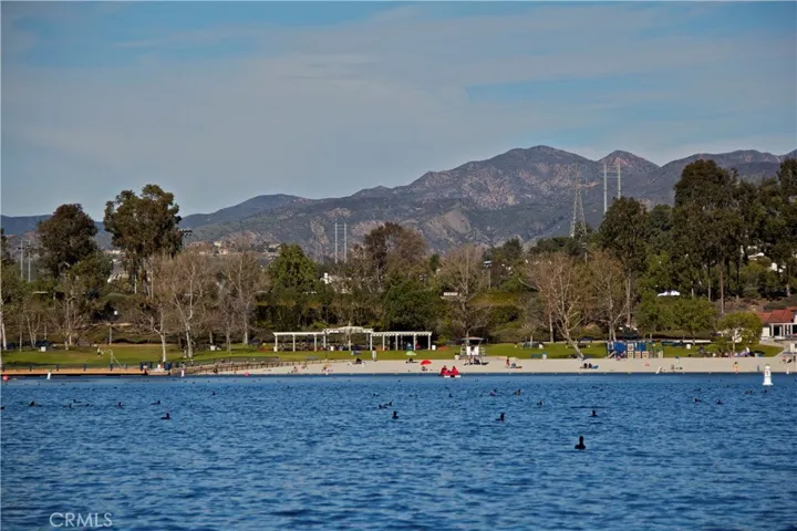 Swimming, boating and picnicking at the lake!