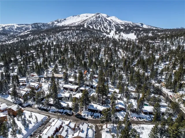 Winter wonderland