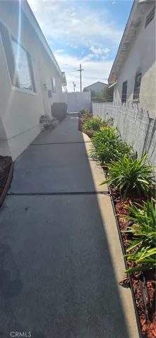 Walkway with plants and roses