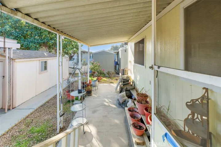 Backyard 1