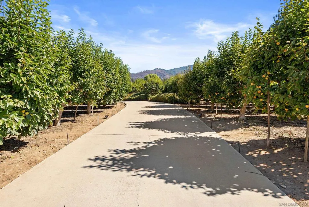 32752 Luiseno Circle Dr, Pauma Valley, California 92061 home-pic-71