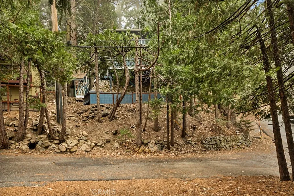 26615 Sugar Cone, Twin Peaks, California 92391 home-pic-21