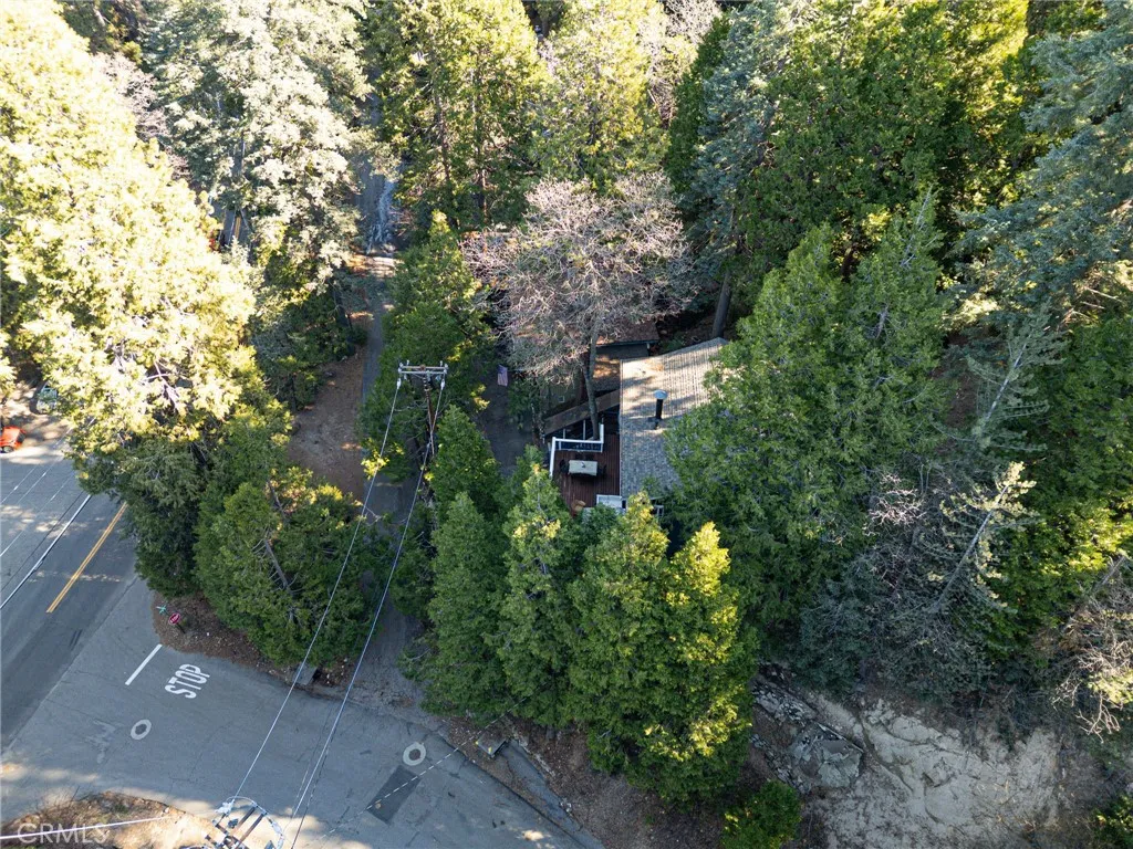 26615 Sugar Cone, Twin Peaks, California 92391 home-pic-24