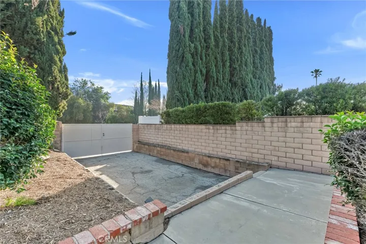 Back yard