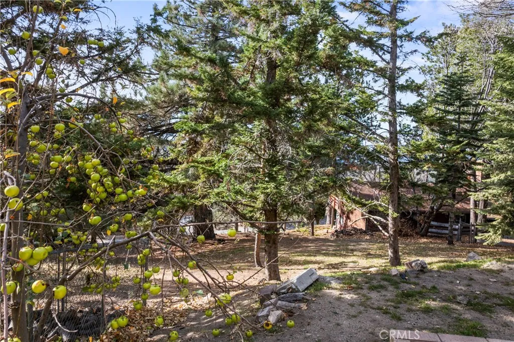 1944 Willow, Running Springs, California 92382 home-pic-41