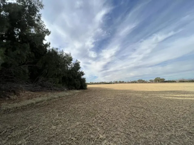 F0F34EBB-2E16-4047-B9B4-3FEF8EF64F01