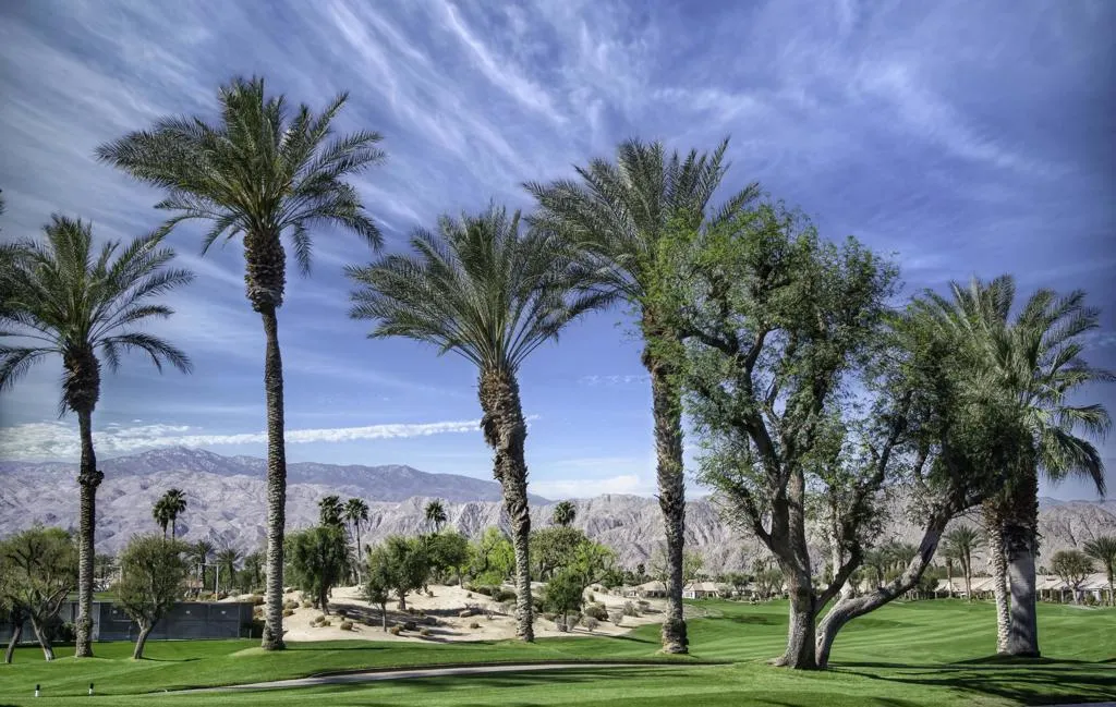 80418 Portobello Drive, Indio, California 92201 home-pic-48